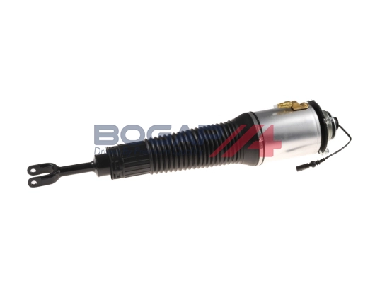 Air Suspension Strut (A3426119)
