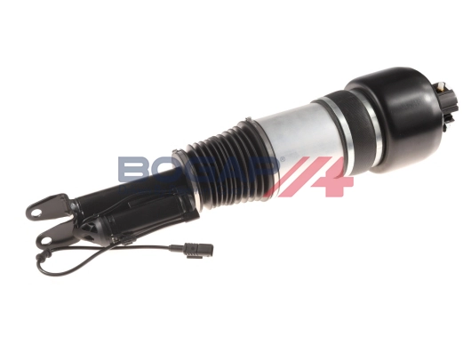 Air Suspension Strut (C3410108)