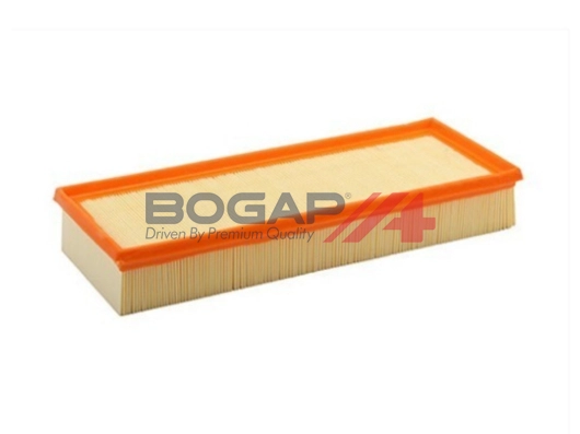 Air Filter (B8111103)