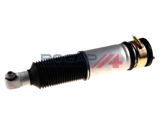 Air Suspension Strut (B3426123)