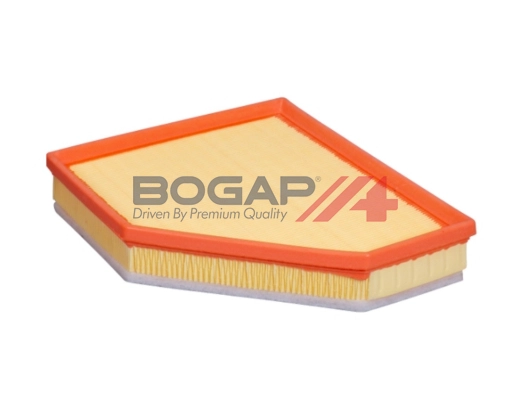 Air Filter (B8111164)