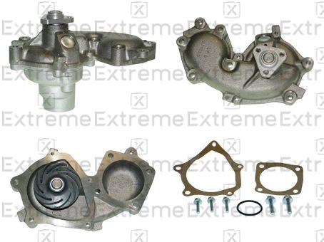 Water Pump, engine cooling (98110051)
