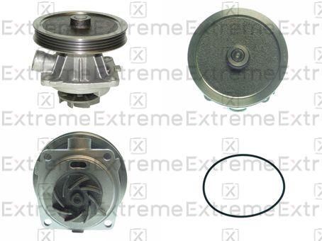 Water Pump, engine cooling (98590011)