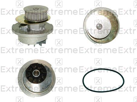 Water Pump, engine cooling (98980500)