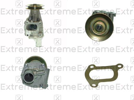 Water Pump, engine cooling (98110044)