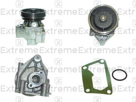 Water Pump, engine cooling (98110033)