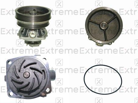 Water Pump, engine cooling (98110039)