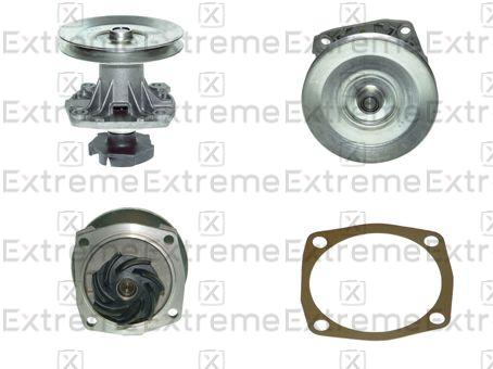 Water Pump, engine cooling (98590009)