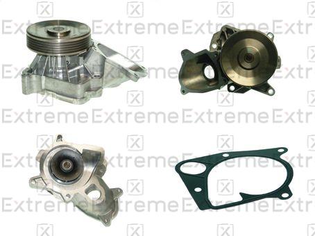 Water Pump, engine cooling (98300003)