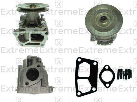 Water Pump, engine cooling (98110004)