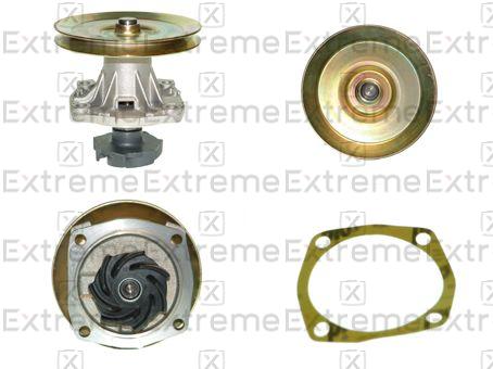 Water Pump, engine cooling (98110028)