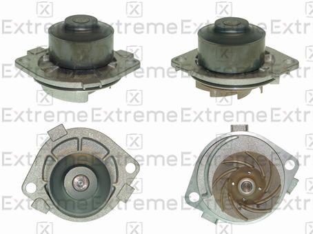 Water Pump, engine cooling (98110043)