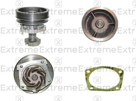 Water Pump, engine cooling (98110035)