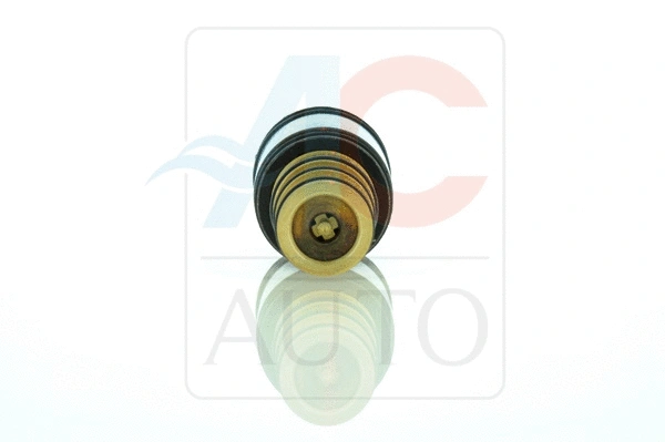 Control Valve, air conditioning compressor