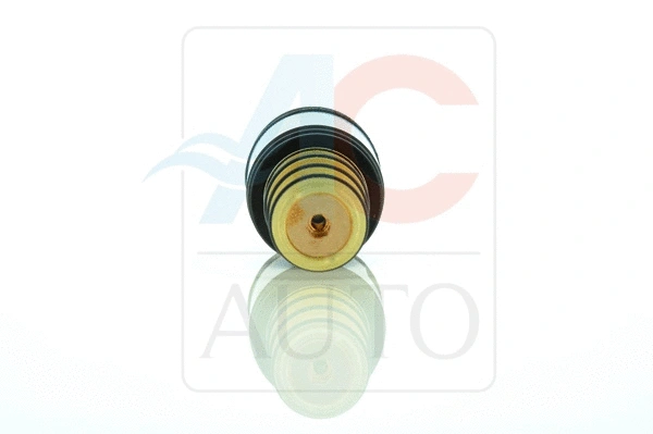 Control Valve, air conditioning compressor
