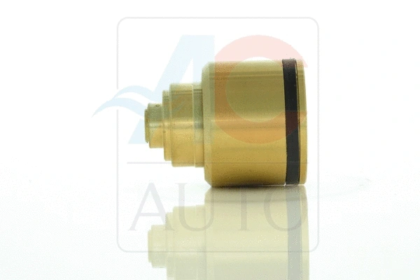 Control Valve, air conditioning compressor