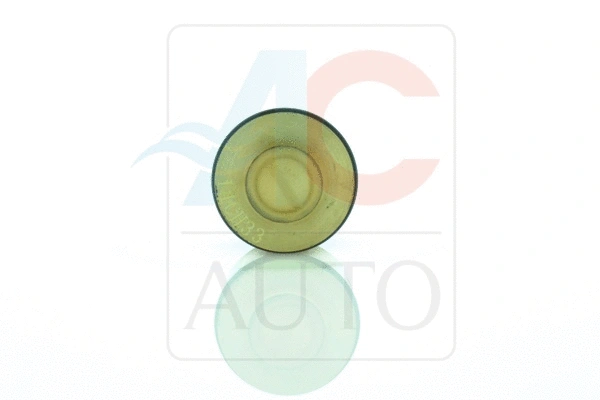 Control Valve, air conditioning compressor