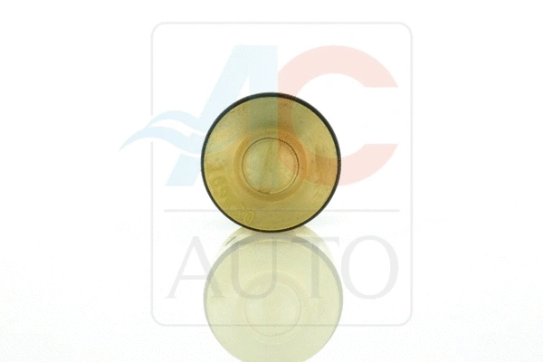 Control Valve, air conditioning compressor