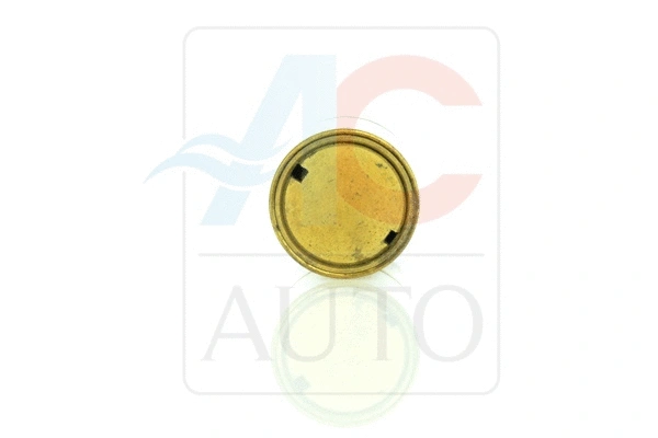 Control Valve, air conditioning compressor