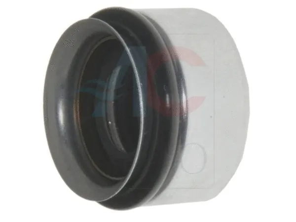 Shaft Seal, compressor shaft