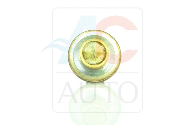 Control Valve, air conditioning compressor