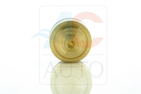 Control Valve, air conditioning compressor