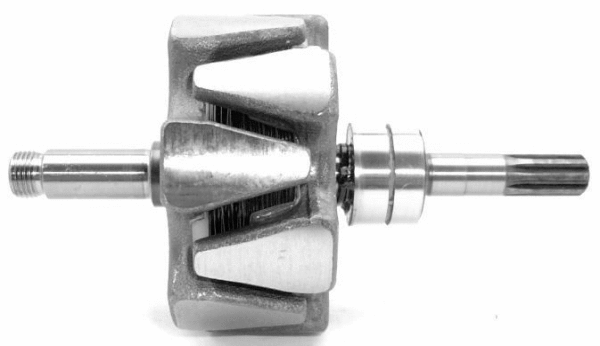 Rotor, alternator (A/310)
