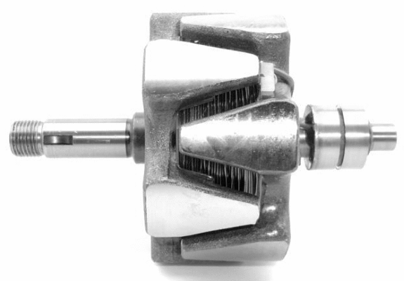 Rotor, alternator (A/696)