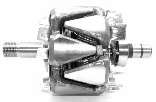 Rotor, alternator (A/233)