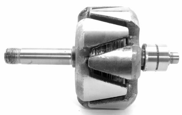 Rotor, alternator (A/1118)