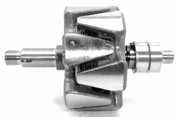 Rotor, alternator (A/687)