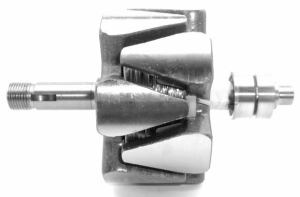 Rotor, alternator (A/1134)