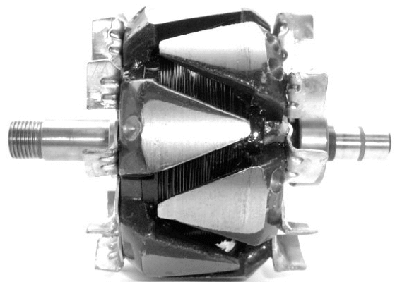 Rotor, alternator (A/1169)