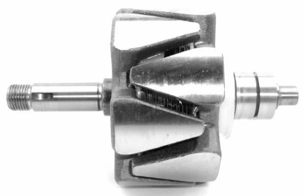 Rotor, alternator (A/710)