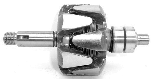 Rotor, alternator (A/51)