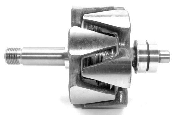 Rotor, alternator (A/174)