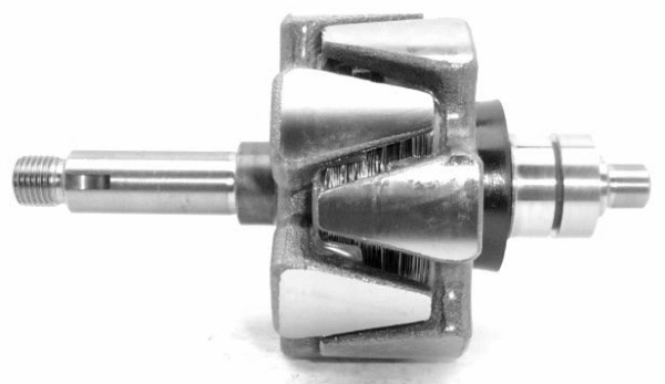 Rotor, alternator (A/683)