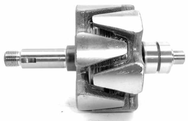 Rotor, alternator (A/230)