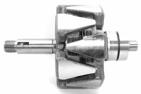 Rotor, alternator (A/98)