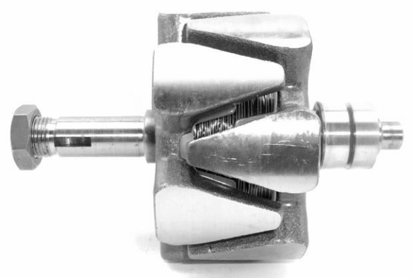 Rotor, alternator (A/145)