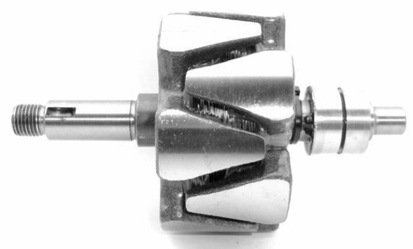 Rotor, alternator (A/99)