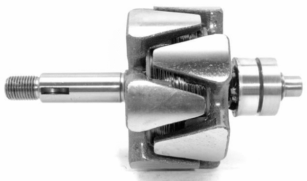Rotor, alternator (A/206)