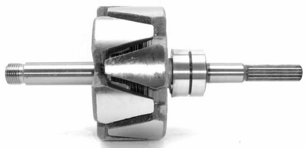Rotor, alternator (A/309)
