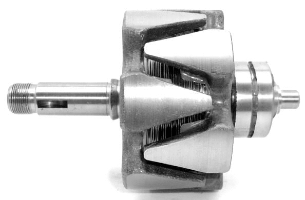 Rotor, alternator (A/251)