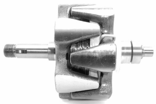 Rotor, alternator (A/698)