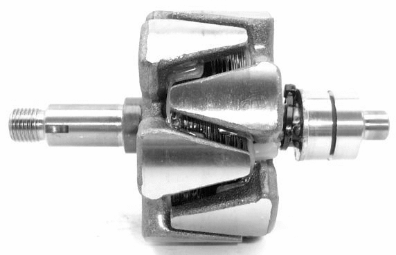 Rotor, alternator (A/646)