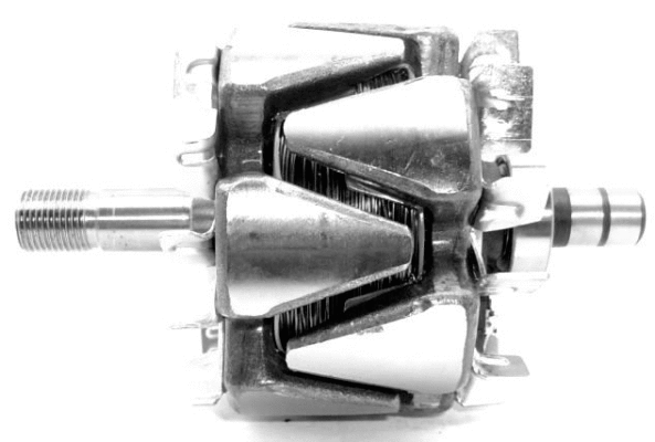 Rotor, alternator (A/231)