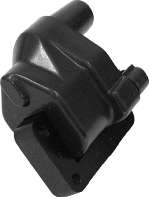 Ignition Coil (B0114)