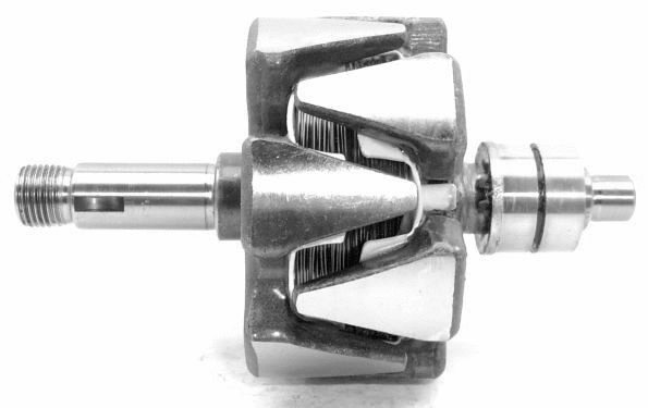 Rotor, alternator (A/667)