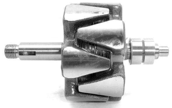 Rotor, alternator (A/529)
